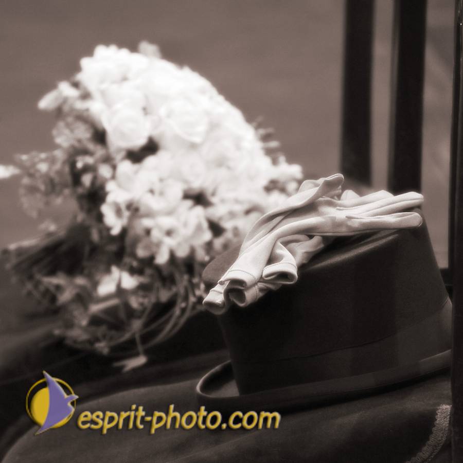 Nom de l'image : 20090103-152404 D30040084_0618-2sp_(c)Norbert-JUNG — Description :